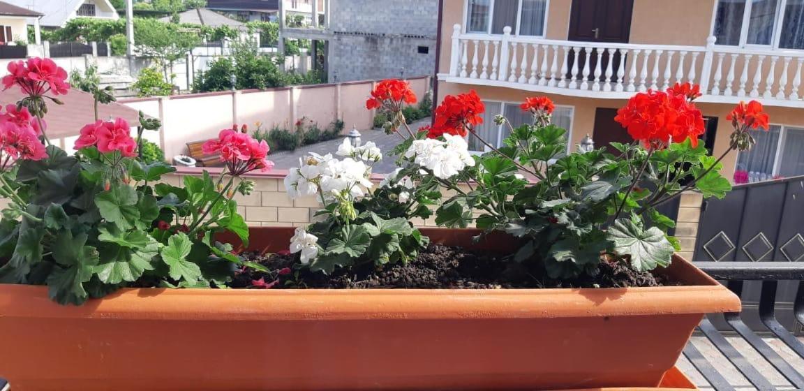 Гостевой Дом Анастасия Σουχούμι Εξωτερικό φωτογραφία
